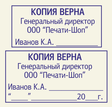 копия верна